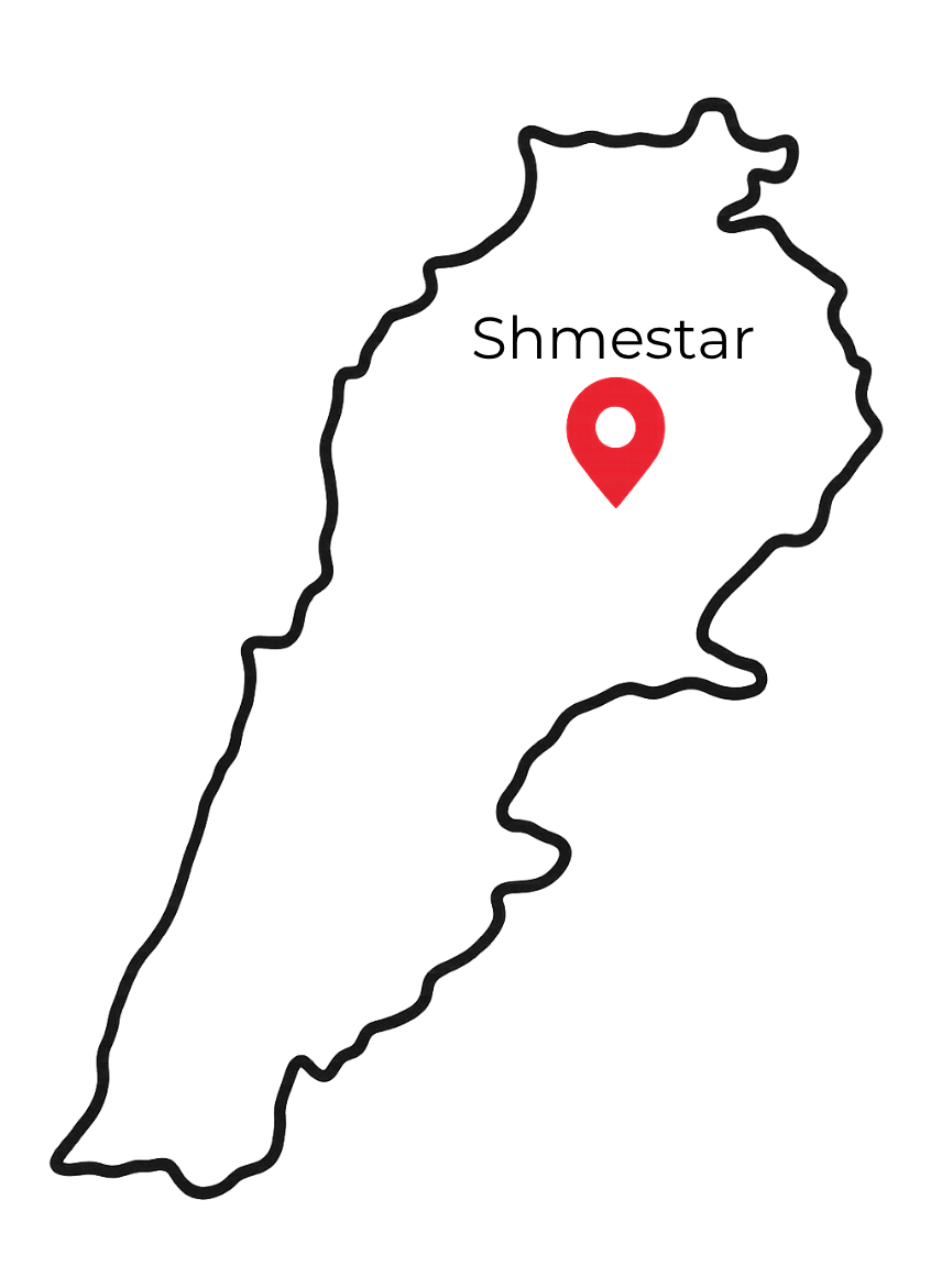 Municipalità di Shmestar